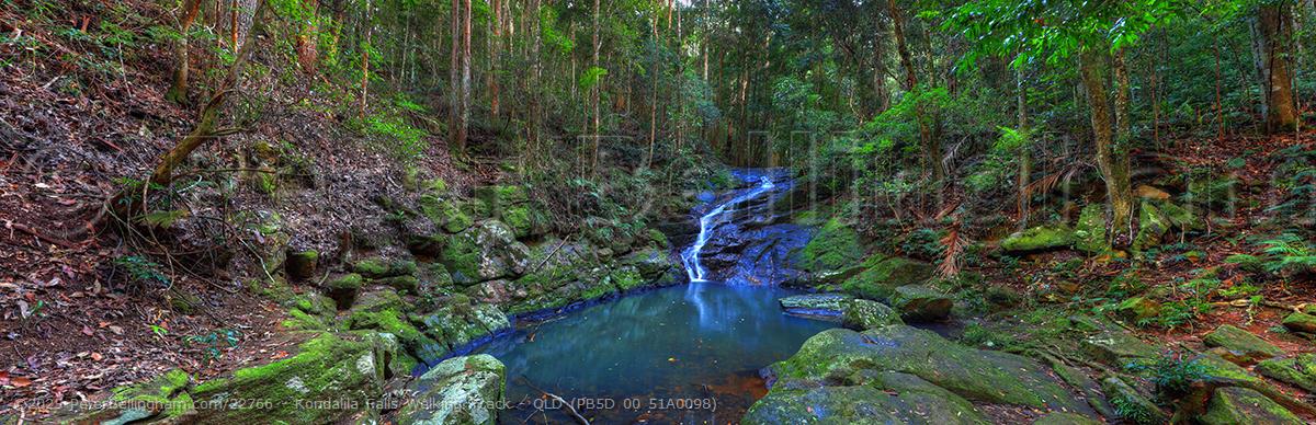 Peter Bellingham Photography Kondalila Falls Walking Track - QLD (PB5D 00 51A0098)